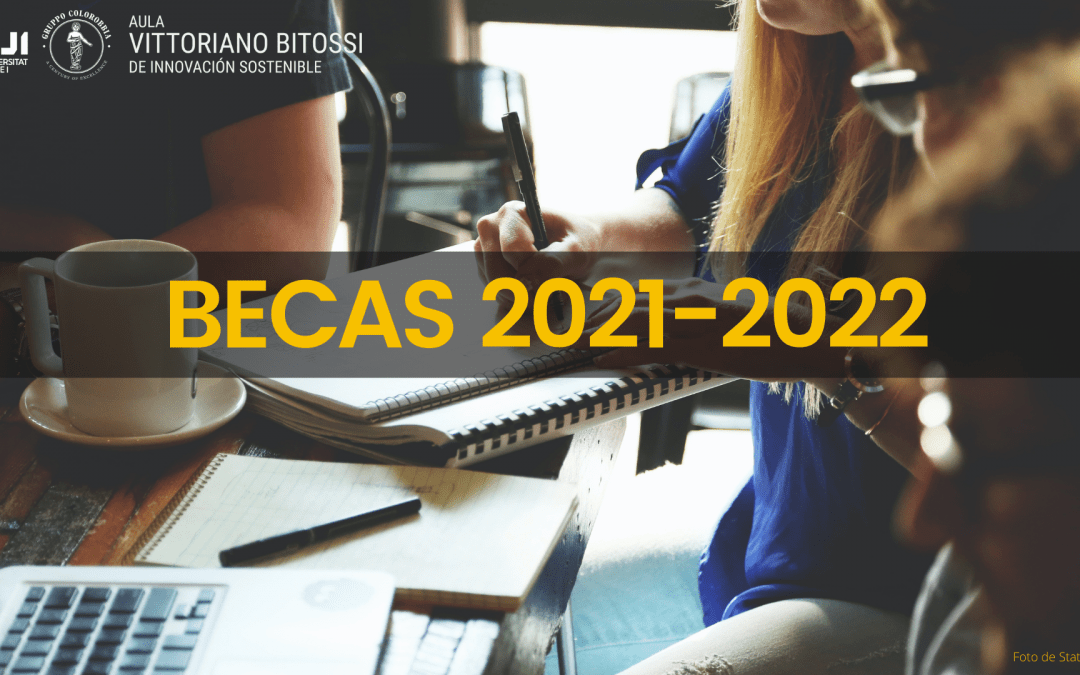 Becas Aula Vittoriano Bitossi de Innovación Sostenible 2021-2022